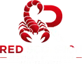 Red Scorpion Services Solutions Private Limited — home